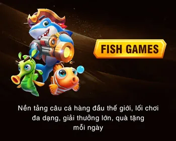 Giấy phép hoạt động và quy định của CQ9